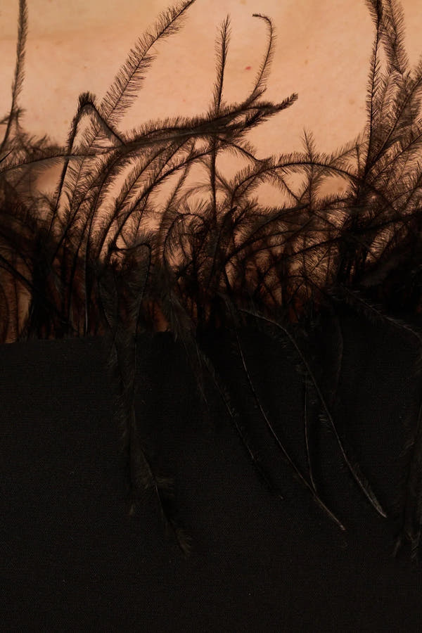 Adrianna Papell Off The Shoulder 3/4 Sleeve with Feather Accents-4