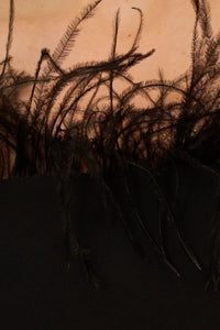 Adrianna Papell Off The Shoulder 3/4 Sleeve with Feather Accents-4